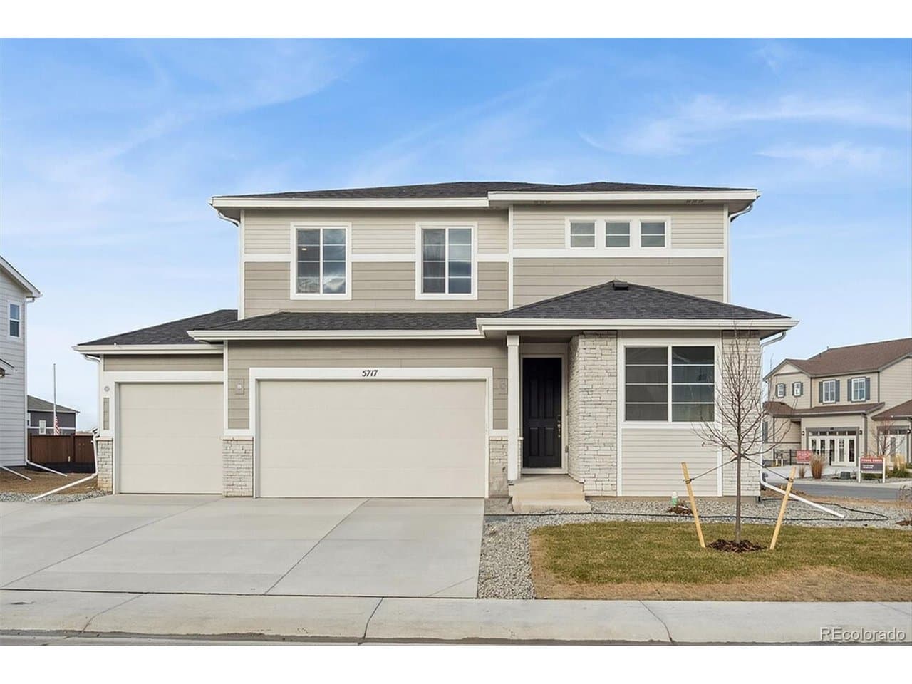 5717 Brangus, Windsor